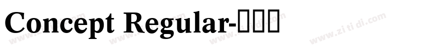Concept Regular字体转换